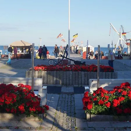 Dom wakacyjny Meerblick 15 - *